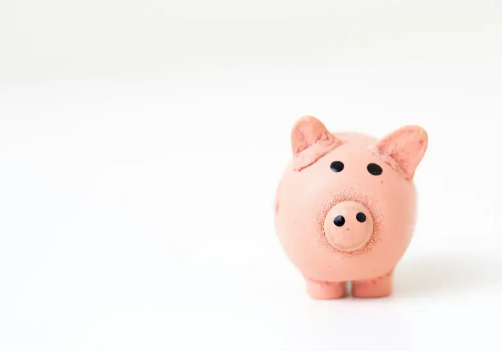 Banki: strażnicy finansów i kreatorzy pieniądza